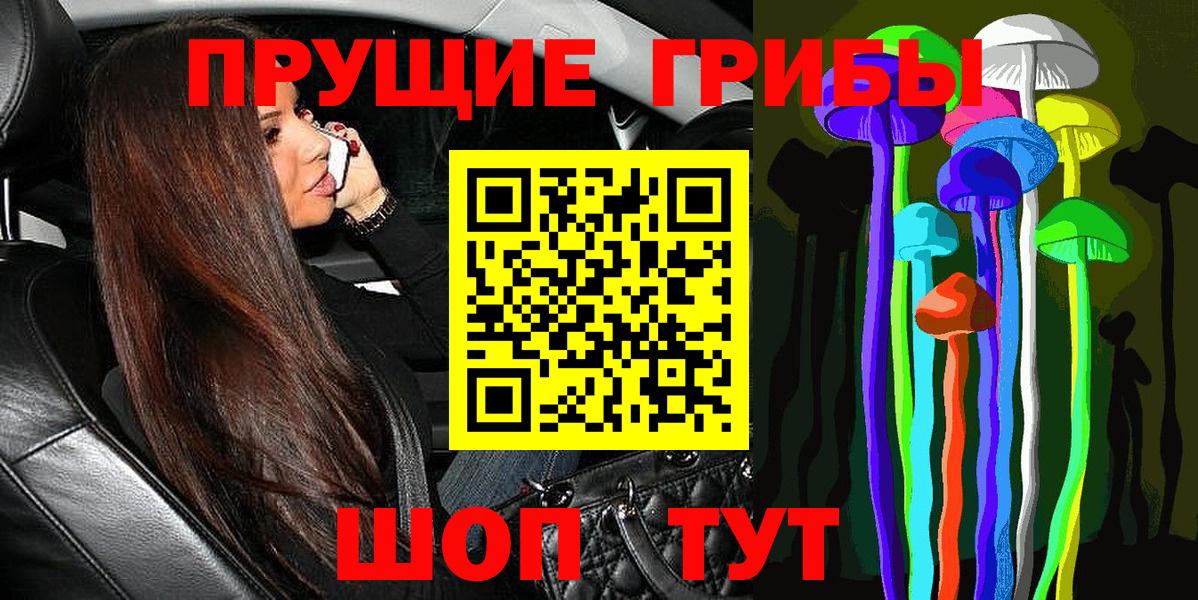 Галлюциногенные грибы Psilocybe  Вход с VPN  Домодедово 