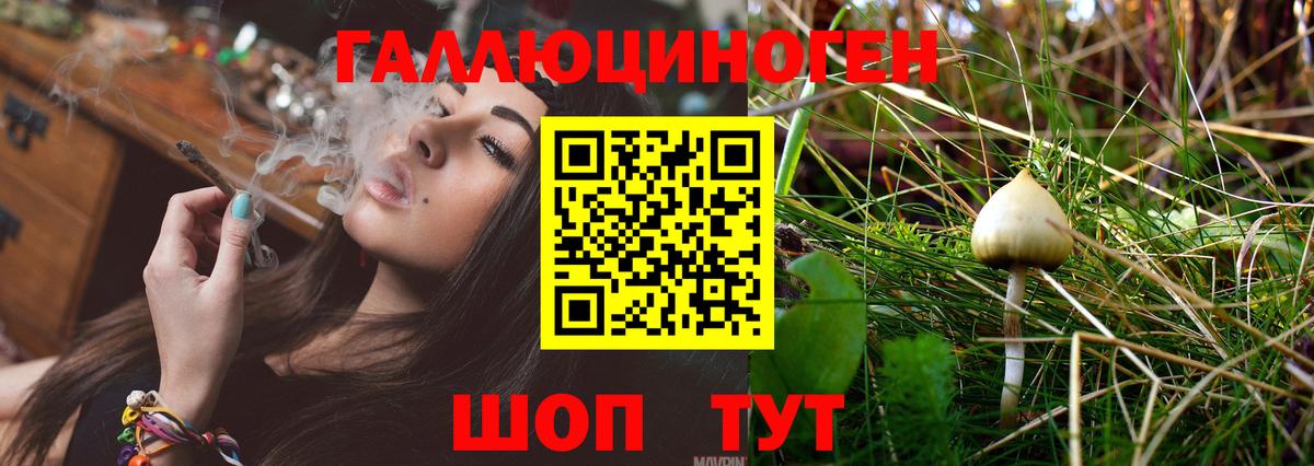 Галлюциногенные грибы MAGIC MUSHROOMS Домодедово